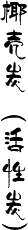 椰壳炭包（活性炭）
